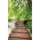 Photo murals  forest path near a river