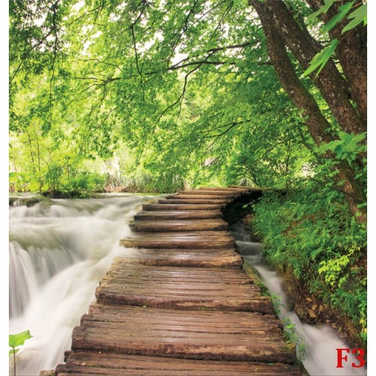 Photo murals  forest path near a river