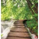 Photo murals  forest path near a river