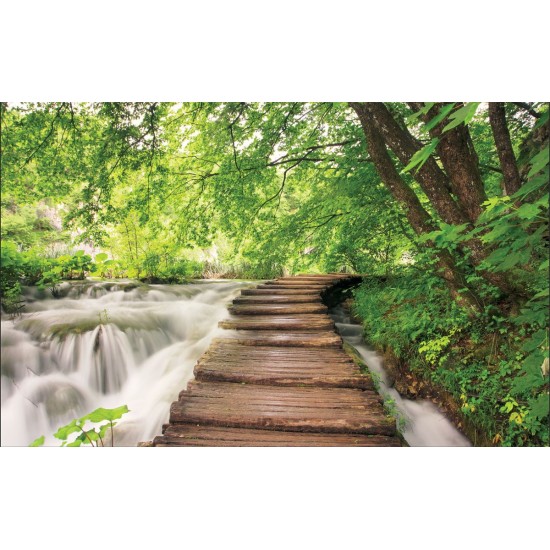 Photo murals  forest path near a river