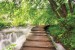 Photo murals  forest path near a river