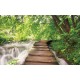 Photo murals  forest path near a river