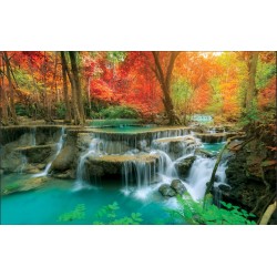 Photo murals lovely flower forest waterfalls