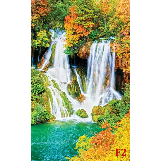 Photo murals Forest Fall Autumn 2