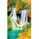 Photo murals Forest Fall Autumn 2