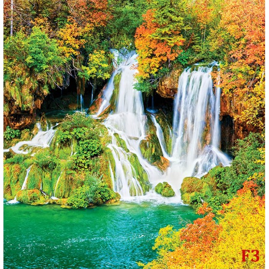 Photo murals Forest Fall Autumn 2
