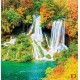 Photo murals Forest Fall Autumn 2