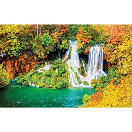Photo murals Forest Fall Autumn 2
