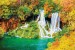 Photo murals Forest Fall Autumn 2