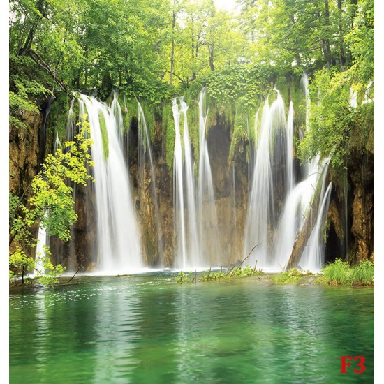 Photo murals Forest waterfall curtain 2