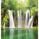 Photo murals Forest waterfall curtain 2