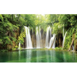 Photo murals Forest waterfall curtain 2