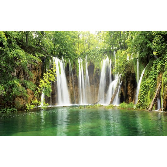 Photo murals Forest waterfall curtain 2