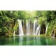 Photo murals Forest waterfall curtain 2