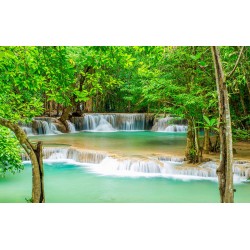 Wall murals exotic waterfall with trees in the foreground