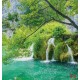 Wallpapers mural beautiful forest river with a waterfall Wallpapers mural beautiful forest river with a waterfall