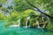 Wallpapers mural beautiful forest river with a waterfall