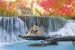 Wallpapers mural beautiful view with tigers and waterfall