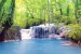 Wallpapers mural wonderful forest waterfall