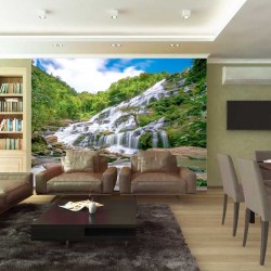 Wallpapers mural mountain waterfall