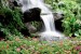 Wallpapers mural waterfall garden with beautiful flowers 2