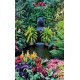 Photo mural fabulously beautiful garden waterfall Photo mural fabulously beautiful garden waterfall