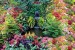 Photo mural fabulously beautiful garden waterfall
