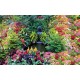 Photo mural fabulously beautiful garden waterfall Photo mural fabulously beautiful garden waterfall