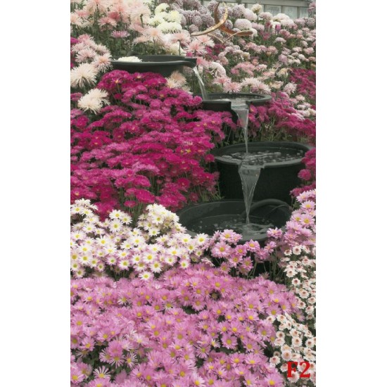 Photo mural garden waterfall with pink flowers Photo mural garden waterfall with pink flowers