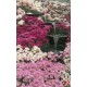 Photo mural garden waterfall with pink flowers Photo mural garden waterfall with pink flowers