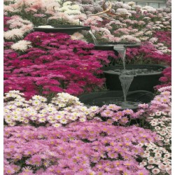 Photo mural garden waterfall with pink flowers Photo mural garden waterfall with pink flowers