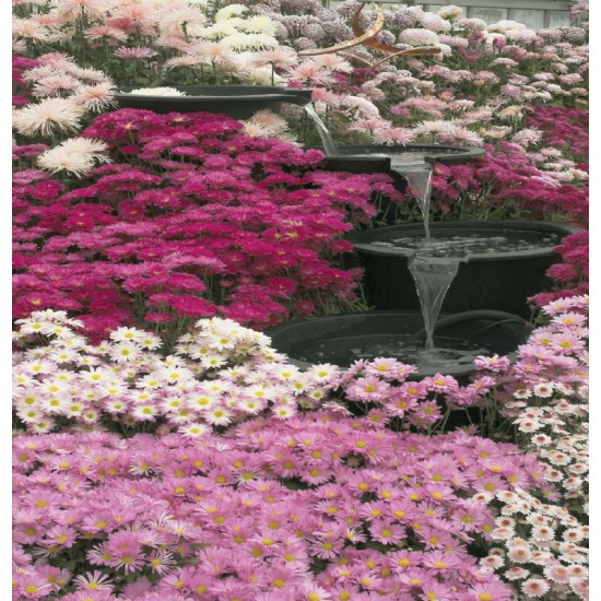 Photo mural garden waterfall with pink flowers Photo mural garden waterfall with pink flowers