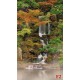 Wallpapers mural beautiful small waterfall with trees Wallpapers mural beautiful small waterfall with trees