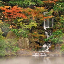 Wallpapers mural beautiful small waterfall with trees