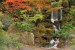 Wallpapers mural beautiful small waterfall with trees