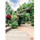Wallpapers beautiful colorful garden Wallpapers beautiful colorful garden