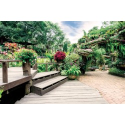 Wallpapers beautiful colorful garden Wallpapers beautiful colorful garden