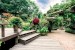 Wallpapers beautiful colorful garden