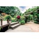Wallpapers beautiful colorful garden Wallpapers beautiful colorful garden