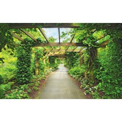 Photo mural wooden arc in a garden Photo mural wooden arc in a garden