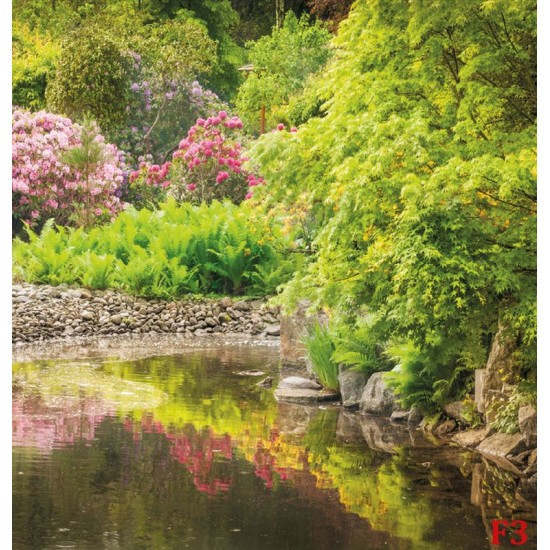 Wallpapers mural beautiful garden pond Wallpapers mural beautiful garden pond