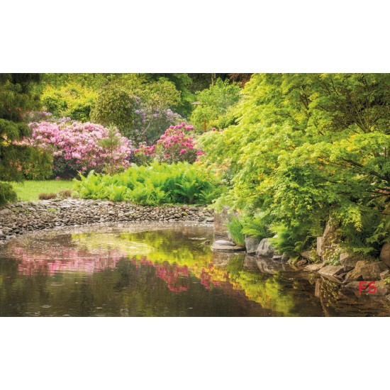 Wallpapers mural beautiful garden pond Wallpapers mural beautiful garden pond