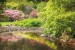 Wallpapers mural beautiful garden pond