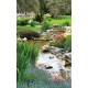 Wallpaper landscape garden with stream Wallpaper landscape garden with stream