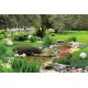 Wallpaper landscape garden with stream Wallpaper landscape garden with stream