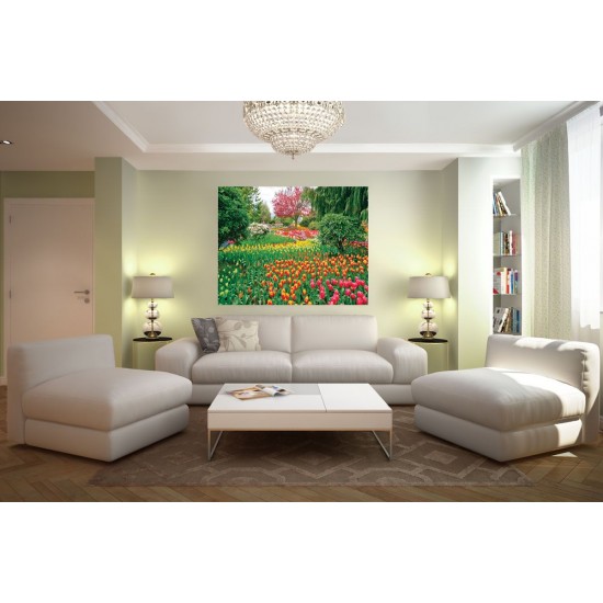 Wallpapers beautiful tulips garden Wallpapers beautiful tulips garden