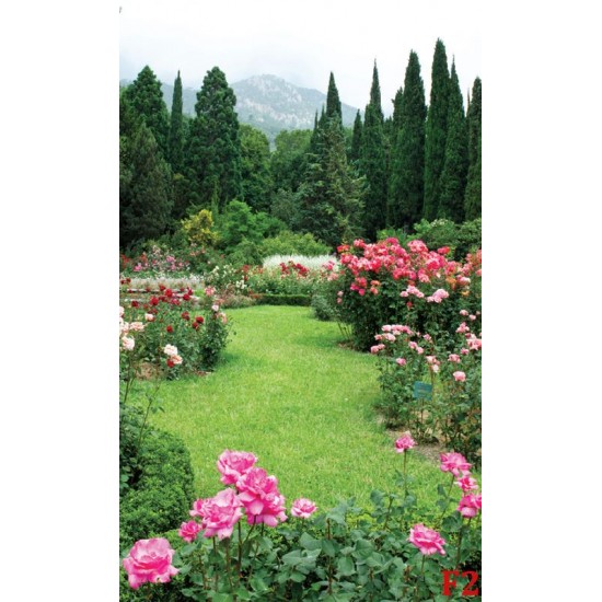 Wallpapers garden view with beautiful roses Wallpapers garden view with beautiful roses