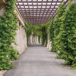 Wallpapers mural garden alley with greenery and columns