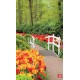 Wallpapers mural gardens with tulips and white catwalk