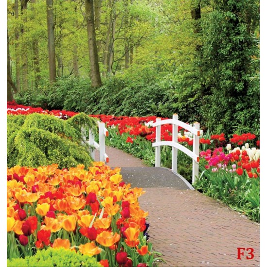 Wallpapers mural gardens with tulips and white catwalk